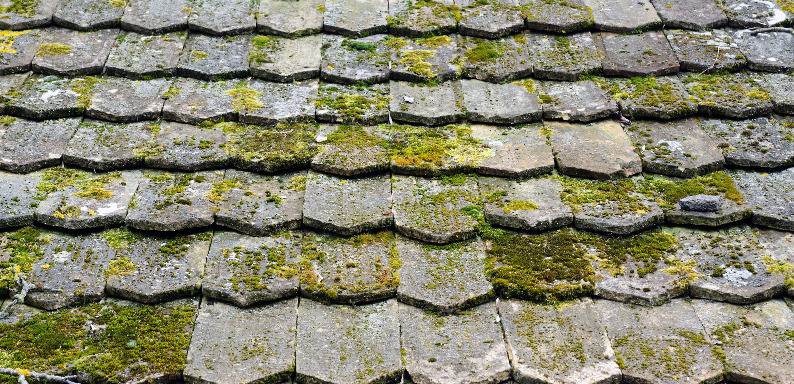 Protecting What Protects You: Why Roof Cleaning Matters More Than You Think