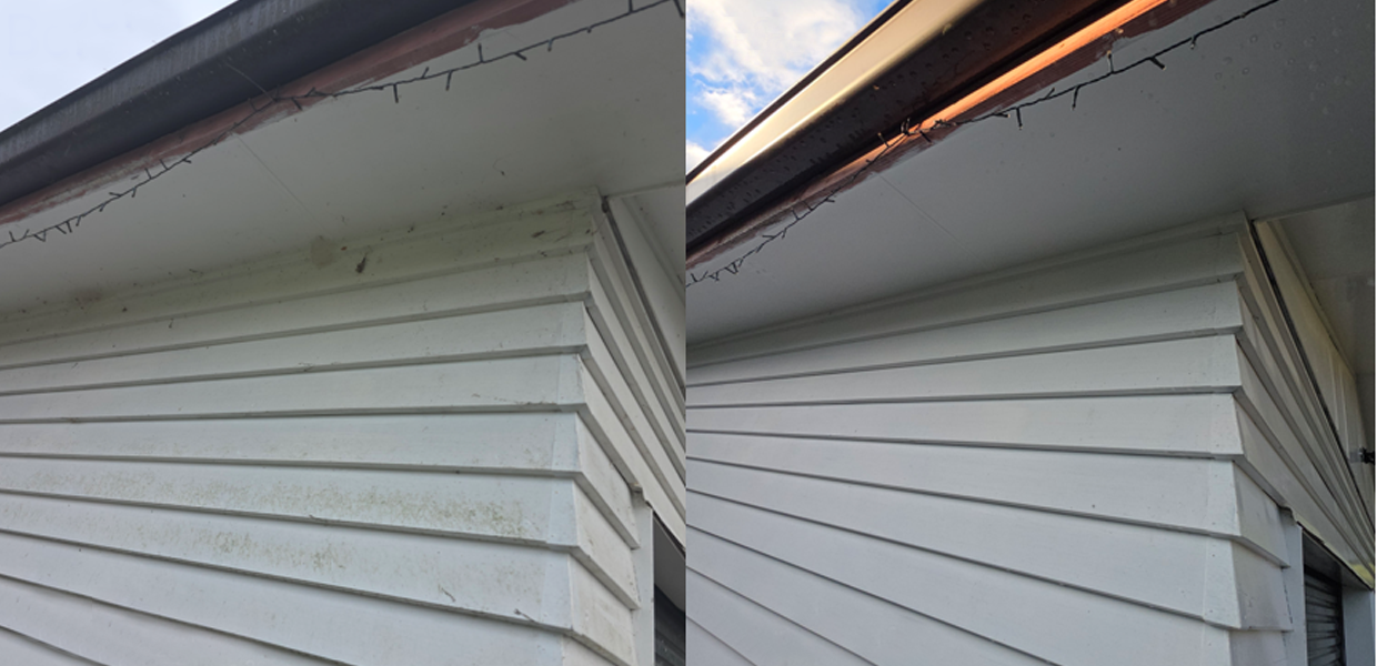 From First Impressions to Lasting Relationships: A Spotless Hygiene Success Story